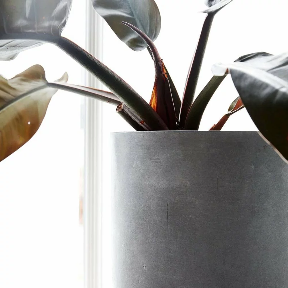 House Doctor Gard Bloempot Set Beton Look 4 House Doctor Gard Bloempot Set Beton Look - Afbeelding 2