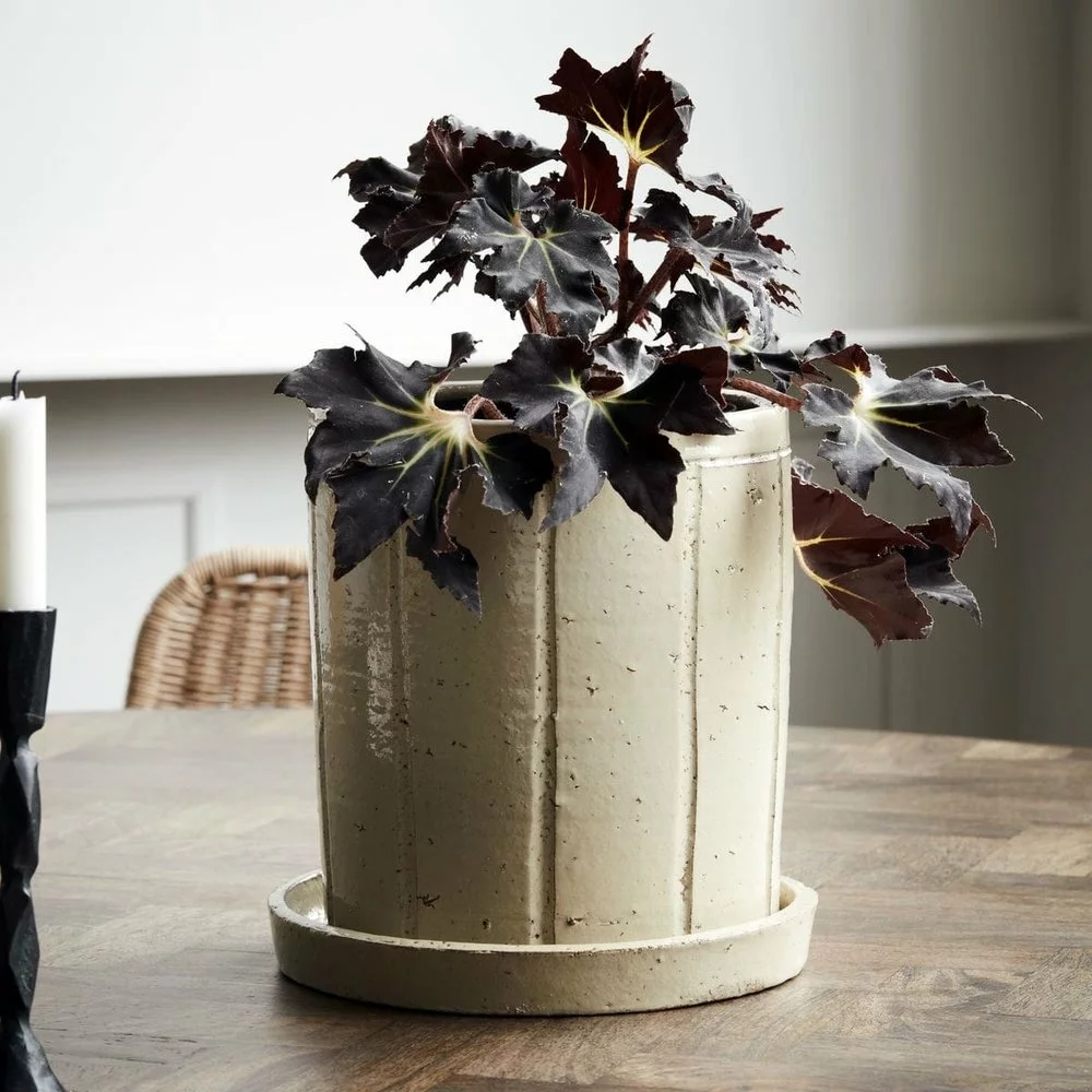 House Doctor Julian Bloempot - Beige 5 House Doctor Julian Bloempot - Beige - Afbeelding 3