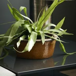 House Doctor Whai Bloempot - Mosterd Ø30cm -Goedkope Behang Winkel house doctor whai bloempot mosterd 30cm 1