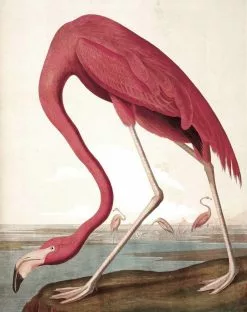 KEK Amsterdam Behangpaneel Flamingo