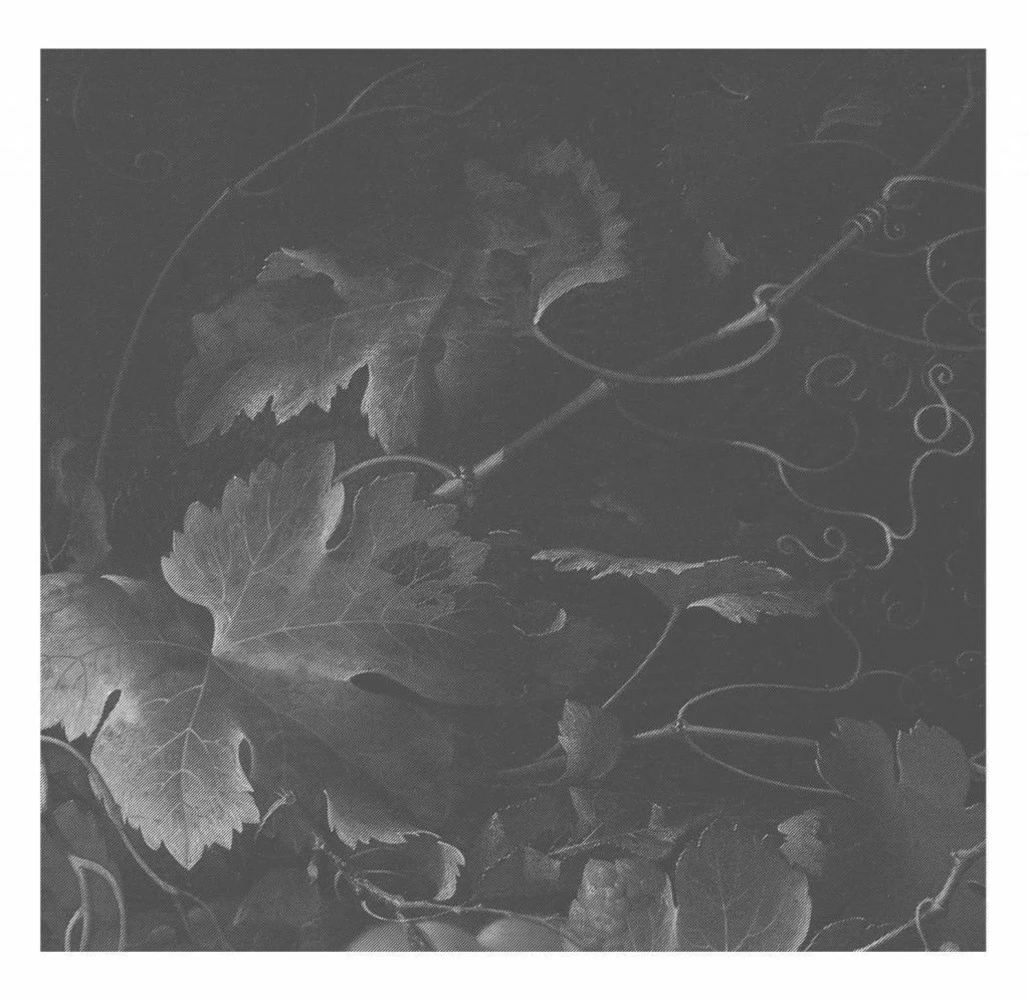 KEK Amsterdam Black & White Flowers Behang 6 KEK Amsterdam Black & White Flowers Behang - Afbeelding 4