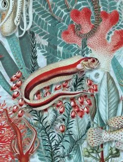 KEK Amsterdam Underwater Jungle Fotobehang WP-693 - 292,2 X 280 Cm -Goedkope Behang Winkel kek amsterdam underwater jungle fotobehang wp 693 1