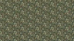 KEK Amsterdam Underwater Jungle Fotobehang WP-697 - 389,6 X 280 Cm 14 KEK Amsterdam Underwater Jungle Fotobehang WP-697 - 389,6 X 280 Cm -Goedkope Behang Winkel kek amsterdam underwater jungle fotobehang wp 697 5