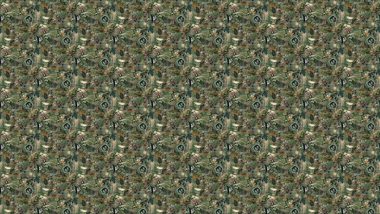 KEK Amsterdam Underwater Jungle Fotobehang WP-697 - 389,6 X 280 Cm 8 KEK Amsterdam Underwater Jungle Fotobehang WP-697 - 389,6 X 280 Cm - Afbeelding 6