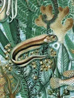 KEK Amsterdam Underwater Jungle Fotobehang WP-700 - 389,6 X 280 Cm -Goedkope Behang Winkel kek amsterdam underwater jungle fotobehang wp 700 1