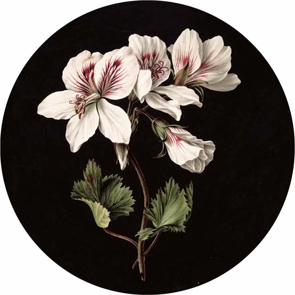 KEK Amsterdam Witte Bloemen Behangcirkel SC-071 ø142,5cm 3 KEK Amsterdam Witte Bloemen Behangcirkel SC-071 ø142,5cm