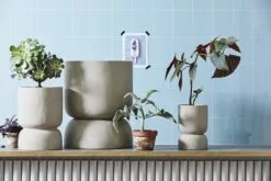 Nordal Ajonu Pot L - Grijs 7 Nordal Ajonu Pot L - Grijs -Goedkope Behang Winkel nordal ajonu pot l grijs 1