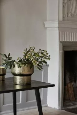 Nordal Alimia Bloempot L Goud - 24158 5 Nordal Alimia Bloempot L Goud - 24158 -Goedkope Behang Winkel nordal alimia bloempot l goud 24158 1