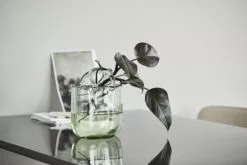 Nordal Faula Vaas - Lichtgroen -Goedkope Behang Winkel nordal faula vaas lichtgroen 2