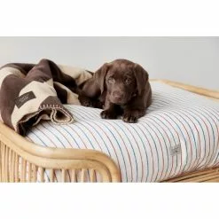 OYOY Kyoto Hondenkussen Medium Mellow - Z60057 13 OYOY Kyoto Hondenkussen Medium Mellow - Z60057 -Goedkope Behang Winkel oyoy kyoto hondenkussen medium mellow z60057 2