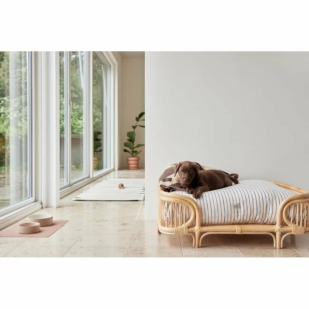 OYOY Otto Hondenmand Medium - Z60075 9 OYOY Otto Hondenmand Medium - Z60075 - Afbeelding 7